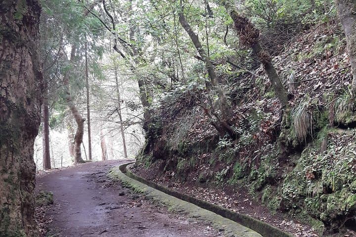Madeira Private Guided Walk to Ribeiro Frio and Chão das Feiteiras