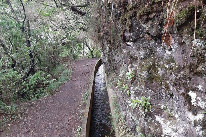 Madeira Private Guided Walk to Ribeiro Frio and Chão das Feiteiras photo 3