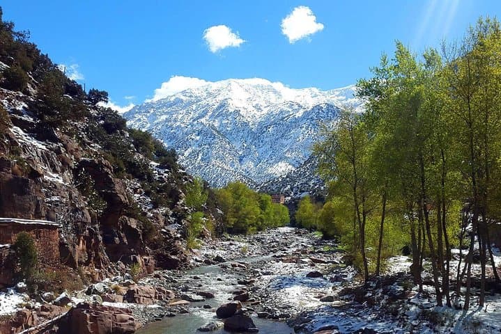 Day Trip to Ourika Valley & Setti Fatma Waterfalls from Marrakech photo 6