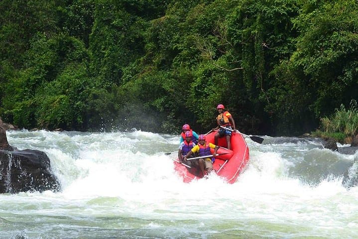 Full-Day Kitulgala White-Water Rafting from Colombo — Kelani River Adventure photo 3