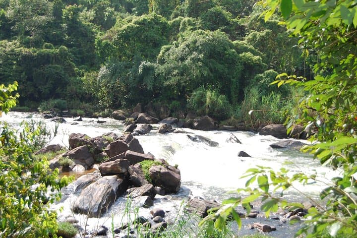 Full-Day Kitulgala White-Water Rafting from Colombo — Kelani River Adventure photo 5