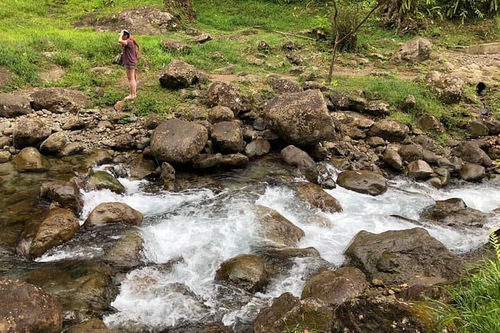 Unmissable Martinique North Tour: Rainforest, Saint-Pierre Ruins & Black-Sand Beach photo 4