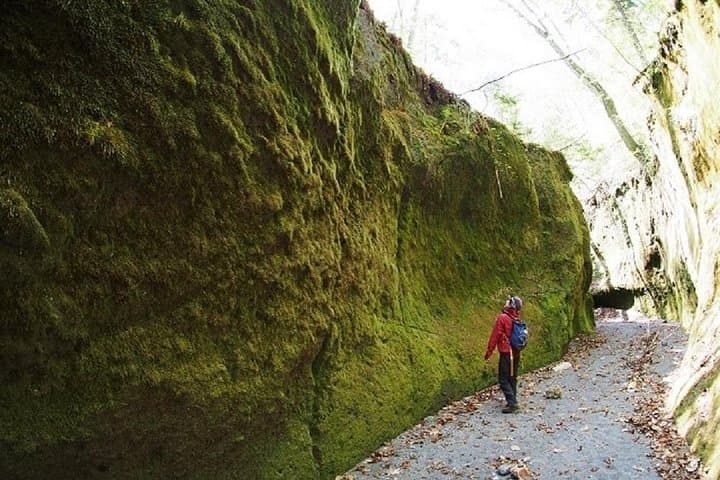 Explore Lake Shikotsu and Moss Canyon: Private Day Trip from Sapporo photo 5