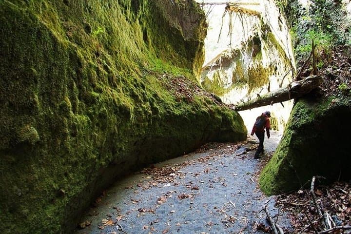 Explore Lake Shikotsu and Moss Canyon: Private Day Trip from Sapporo photo 2