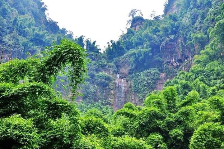 Explore Leshan Giant Buddha & Muchuan Bamboo Sea: 2-Day Private Tour from Chengdu photo 4