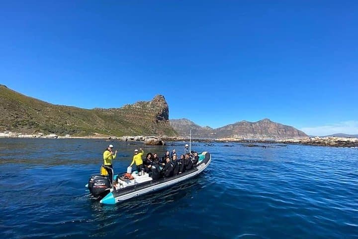 Hout Bay Ocean Safari: Kelp-Forest Snorkel & Marine Wildlife Cruise photo 2