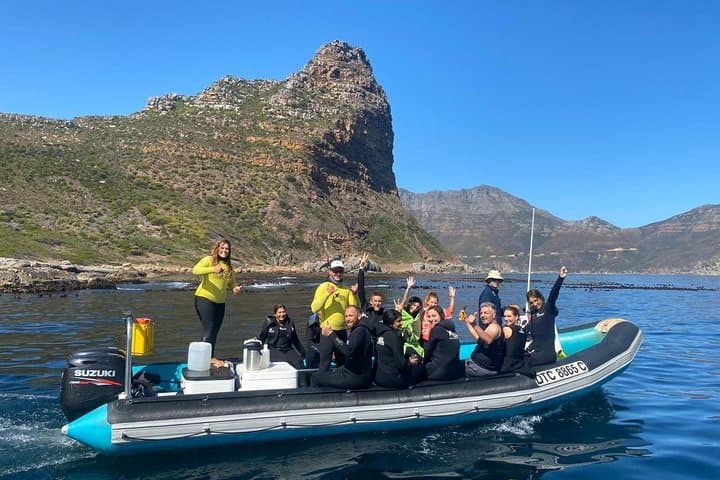 Hout Bay Ocean Safari: Kelp-Forest Snorkel & Marine Wildlife Cruise photo 3