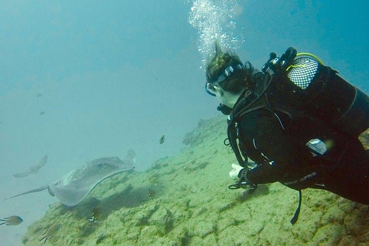 Try Scuba Diving in Tenerife — Beginner Try-Dive with a Dedicated Instructor photo 2
