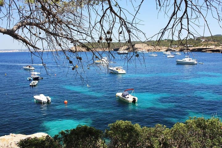 Ibiza West Coast Catamaran: Cala Bassa & Cala Comte Coves and Sunset Cruise photo 6