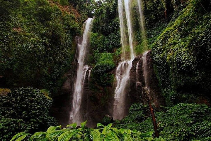 Best Bali Waterfall Tour: Sekumpul & Banyumala (All-Inclusive Day Trip) photo 4