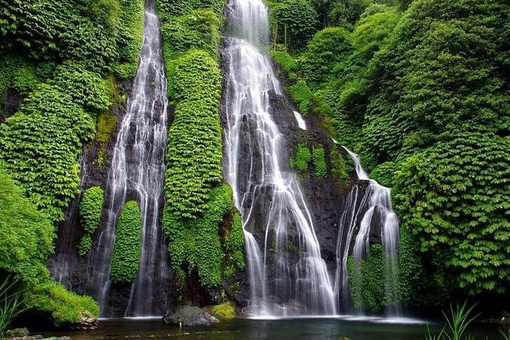 Best Bali Waterfall Tour: Sekumpul & Banyumala (All-Inclusive Day Trip) photo 3