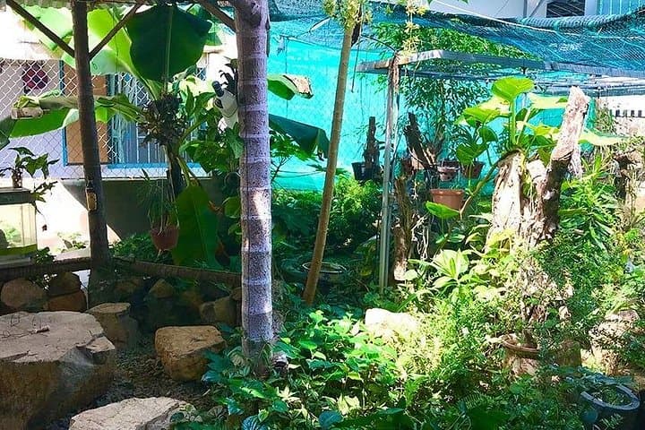 Private Half-Day Cooking Class in Nha Trang — Market Tour & Countryside Cooking photo 3