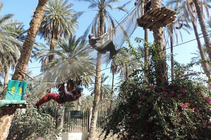 Oasis Safari: 2-Day Djerba to Tozeur Desert Adventure photo 6