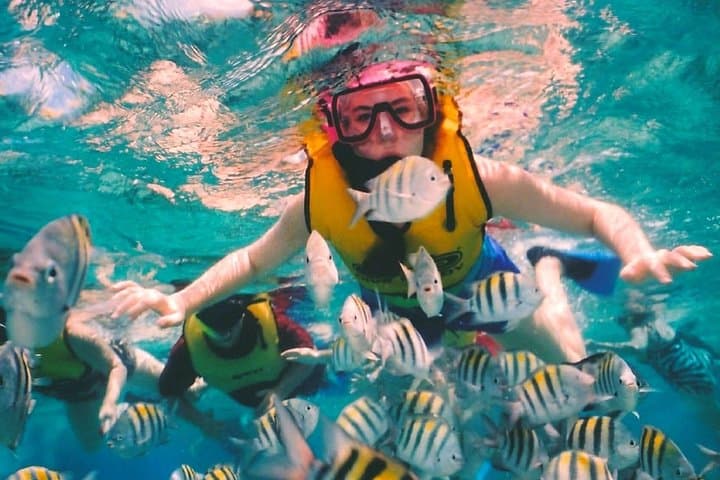 Snorkel Cozumel: Full-Day Tour to El Cielo, Palancar & Colombia Reefs photo 5
