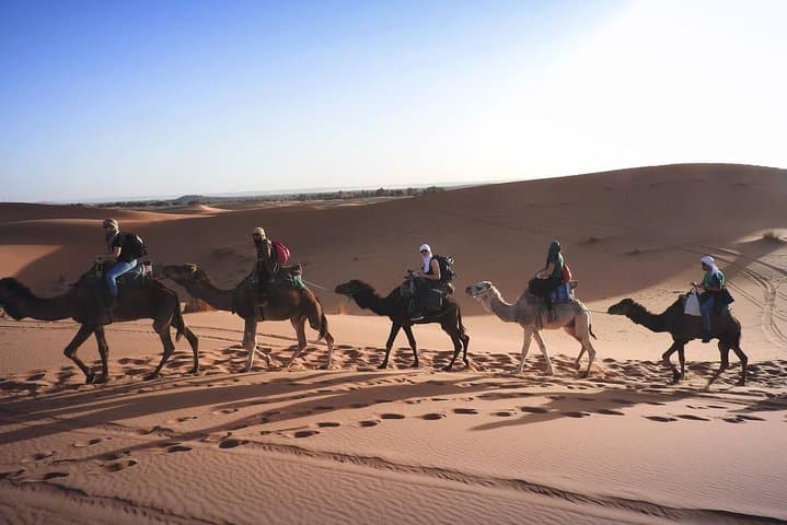 Marrakech to Fes: 5-Day Private Morocco Tour via Merzouga & the High Atlas photo 3