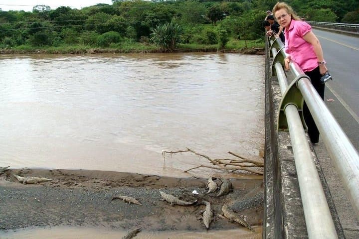 Private San José to Manuel Antonio Transfer with Tarcoles Crocodile Stop photo 2