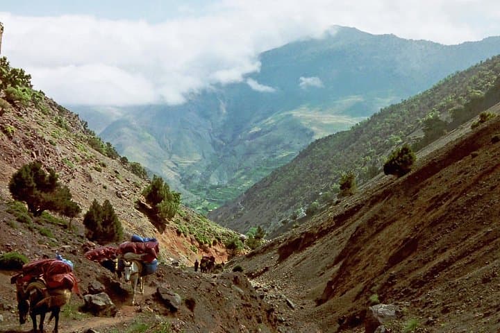 5-Day Mount Toubkal Ascent: High Atlas Trek from Marrakech photo 5
