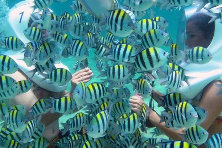 Bali Sea Walker: Walk the Ocean Floor at Tanjung Benoa photo 5