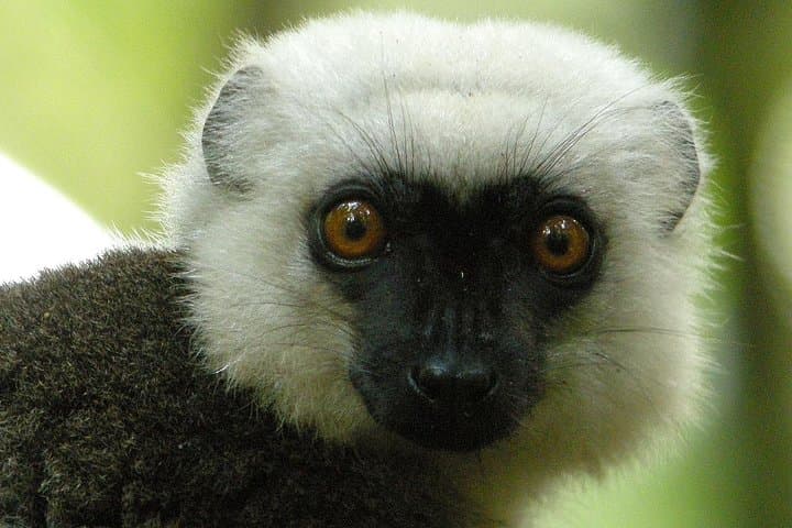8-Day Masoala Honeymoon: Rainforest Trails, Reef Snorkels & Village Visits photo 2