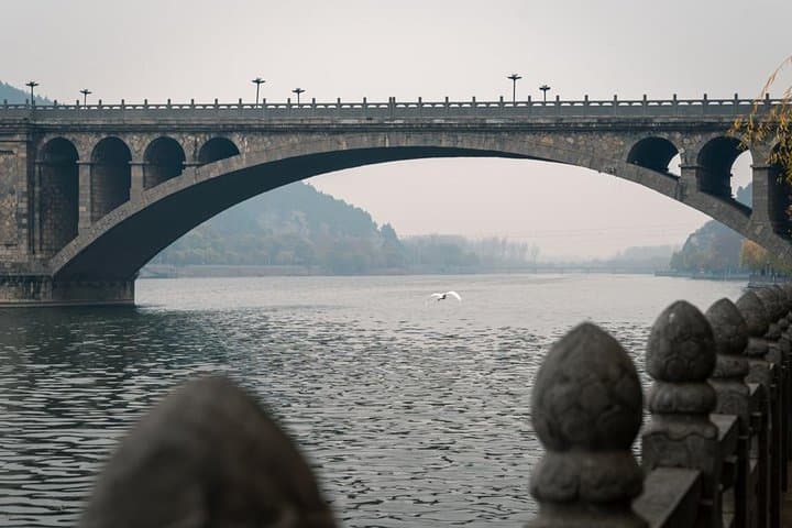 Longmen Grottoes Private Half-Day Walking Tour from Luoyang photo 3