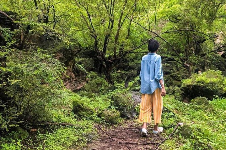 Salalah East Full-Day Tour: Taqah, Khor Rori, Darbat Valley & Mirbat photo 2