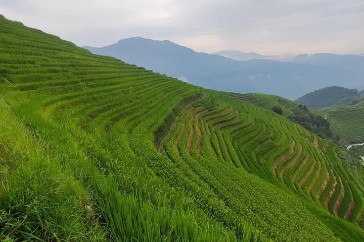 Guilin to Beijing: 6-Day Private Tour — Longji Terraces, Li River & Great Wall photo 6