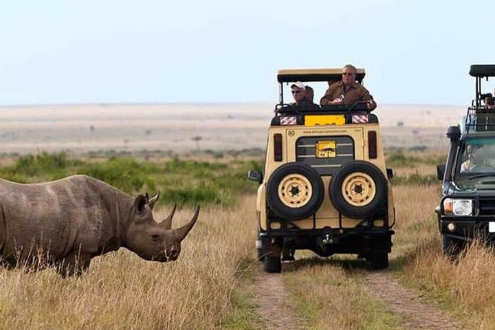 7-Day Kenya Safari: Masai Mara, Lake Nakuru, Lake Naivasha & Amboseli from Nairobi photo 3