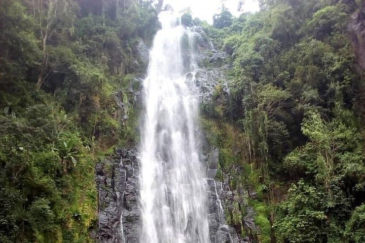 Materuni Waterfalls & Coffee Tour: Kilimanjaro Slopes Day Hike from Moshi photo 2