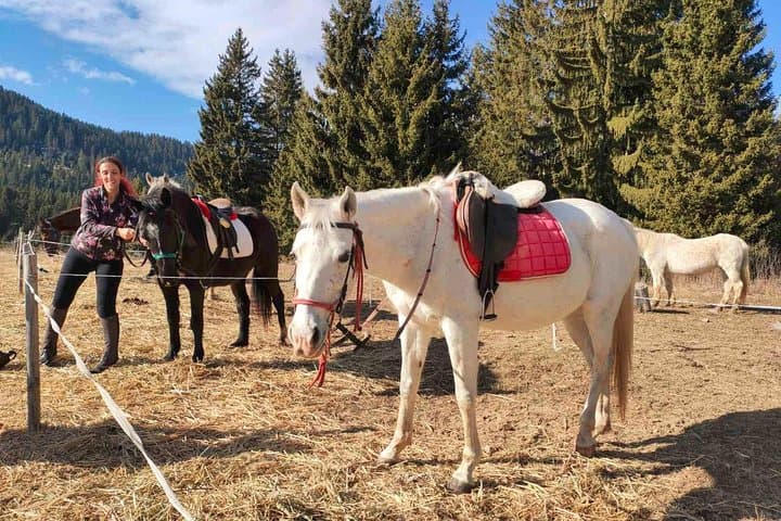 Beginner Horse Riding Lessons in Bulgaria's Rose Valley (Kazanlak) photo 3