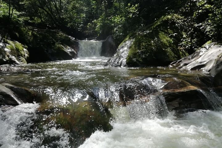 Minca La Victoria Coffee Tour: Waterfalls, Farm History & Sierra Nevada Views photo 4