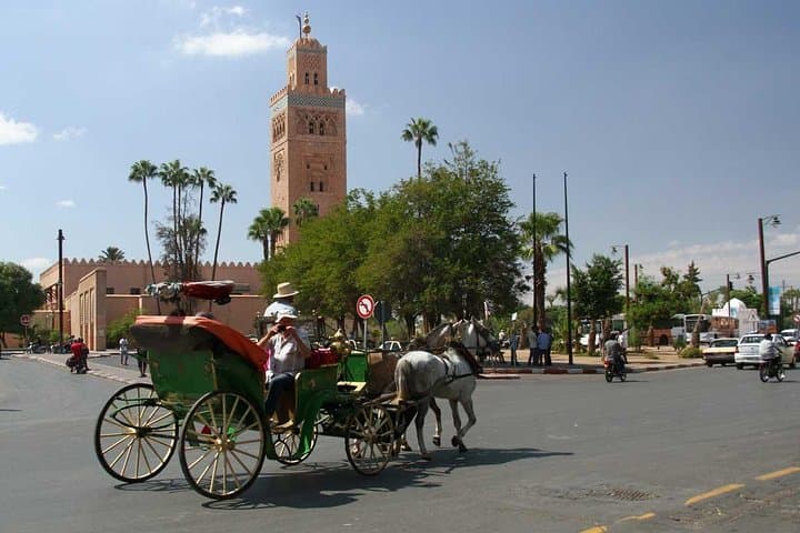 Marrakech Horse Carriage Ride: 1-Hour Medina Tour Through Jemaa el-Fna & Palaces photo 6