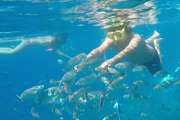 Snorkel Sicily’s East Coast: Guided Taormina & Giardini Naxos Snorkeling Experience photo 4