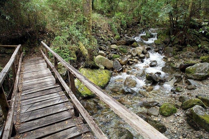 4-Day Puerto Varas & Osorno Volcano Tour — Lake District Escape photo 3