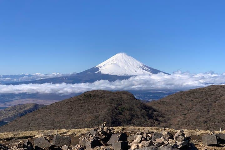 Two-Day Hakone Private Tour from Tokyo with Ryokan Overnight photo 6