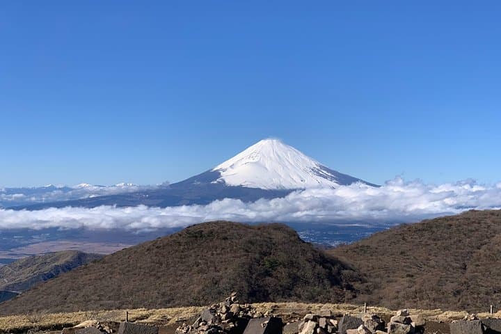 Day Trip to Hakone from Tokyo: Lake Ashi, Owakudani & Mt. Fuji Views photo 3