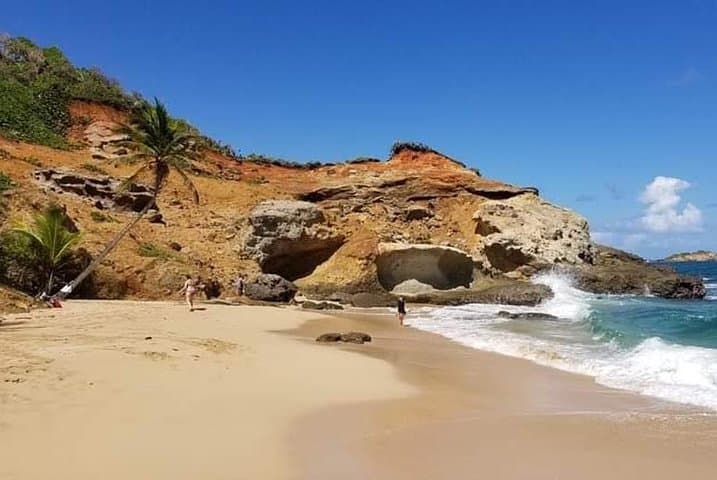 Dominica Private Full-Day Custom Tour — Waterfalls, Boiling Lake & Coastal Hikes
