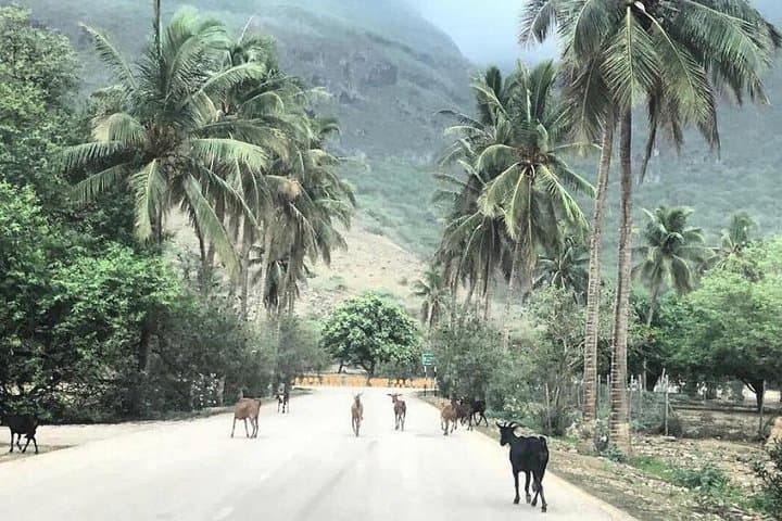 Salalah Mountain Safari: Samhan Range, Tawi A'tair & Darbat Springs (Full-Day) photo 2