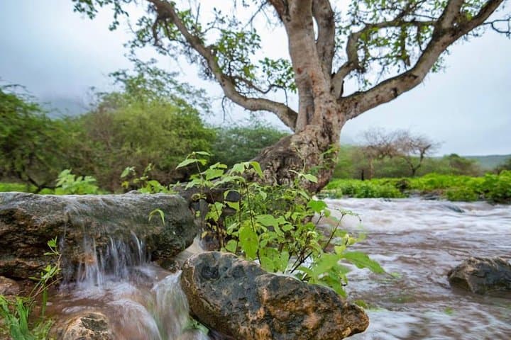 Salalah Mountain Safari: Samhan Range, Tawi A'tair & Darbat Springs (Full-Day) photo 3