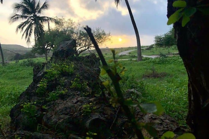 Salalah Mountain Safari: Samhan Range, Tawi A'tair & Darbat Springs (Full-Day) photo 6