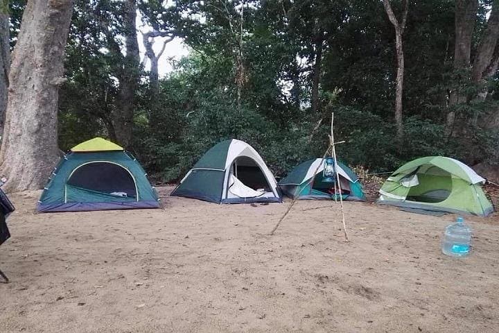 3-Day Lansdowne Tour from Delhi: Weekend Hill Station Escape photo 2