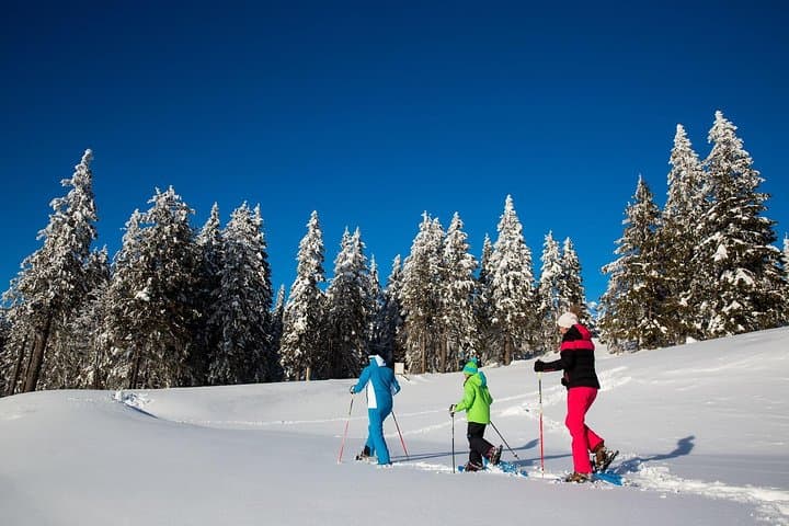 Snowshoeing the Slovenian Alps: 3-Hour Guided Tour from Bled photo 2