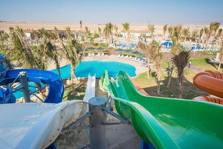 Full-Day Salalah Shopping & Culture Tour — Frankincense, Markets & Local Eats photo 3