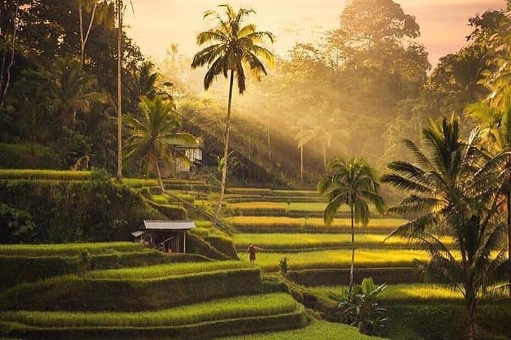 Ubud to Kintamani: Private Full-Day Cultural Tour with Mount Batur Views photo 4