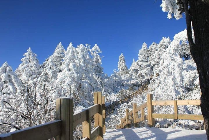 Private Day Tour to Xiling Snow Mountain from Chengdu — Ski, Snow Activities & Scenic Views photo 4