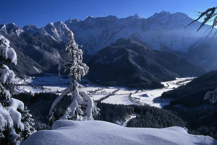 Snowshoeing the Slovenian Alps: 3-Hour Guided Tour from Bled photo 5