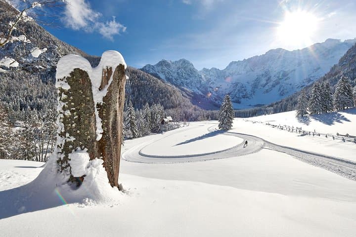 Snowshoeing the Slovenian Alps: 3-Hour Guided Tour from Bled photo 3