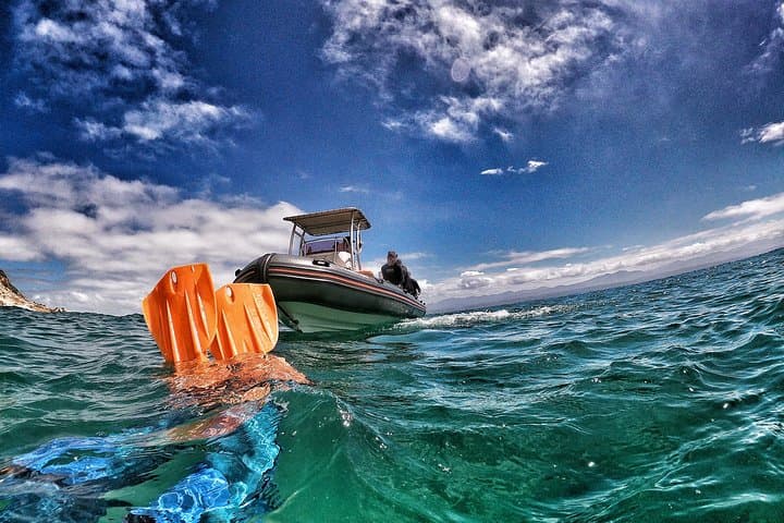 Swim with Seals in Plettenberg Bay: Robberg Marine Snorkel Adventure photo 2