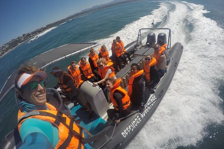 Swim with Seals in Plettenberg Bay: Robberg Marine Snorkel Adventure photo 4