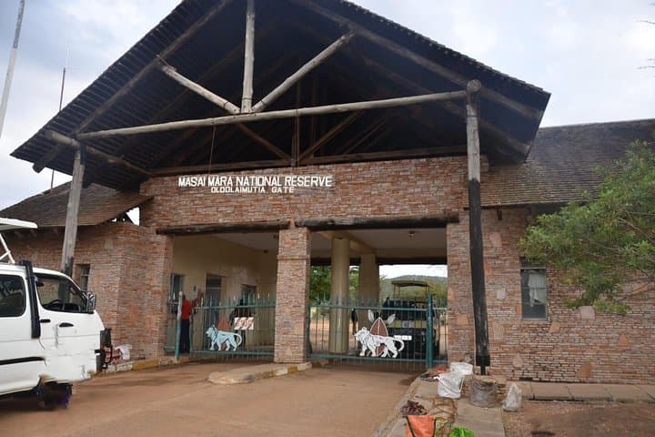 4-Day Maasai Mara Shared Budget Safari from Nairobi — Big Five & Migration photo 6