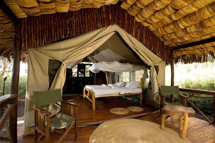 4-Day Maasai Mara Shared Budget Safari from Nairobi — Big Five & Migration photo 2